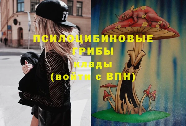 ECSTASY Баксан