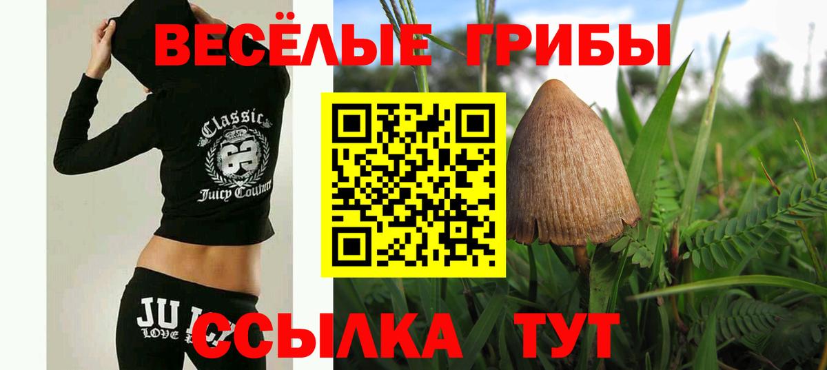 Галлюциногенные грибы MAGIC MUSHROOMS Благодарный