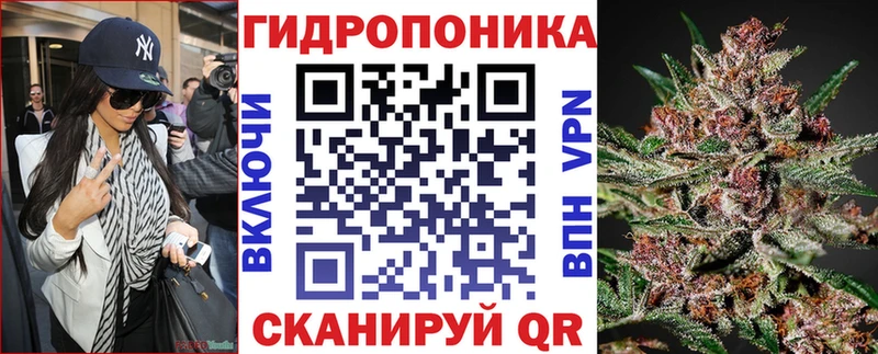 Конопля ГИДРОПОН  Благодарный 