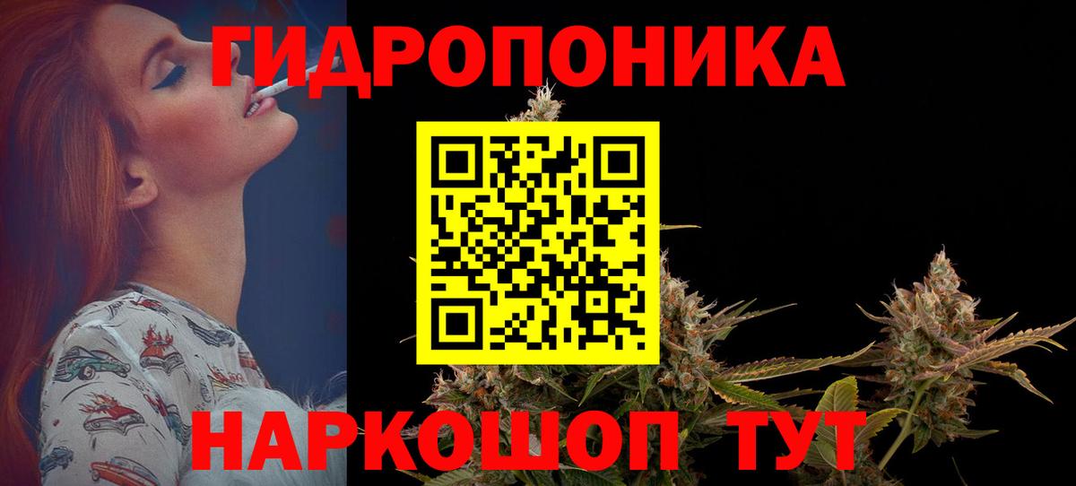 Конопля марихуана  Вход с VPN  Бошки марихуана White Widow  Бошки марихуана THC 21%  Бошки Шишки THC 21%  Благодарный 