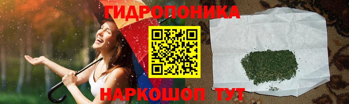 Канабис план Благодарный
